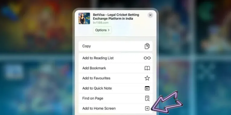 Add Betvisa to Home Screen